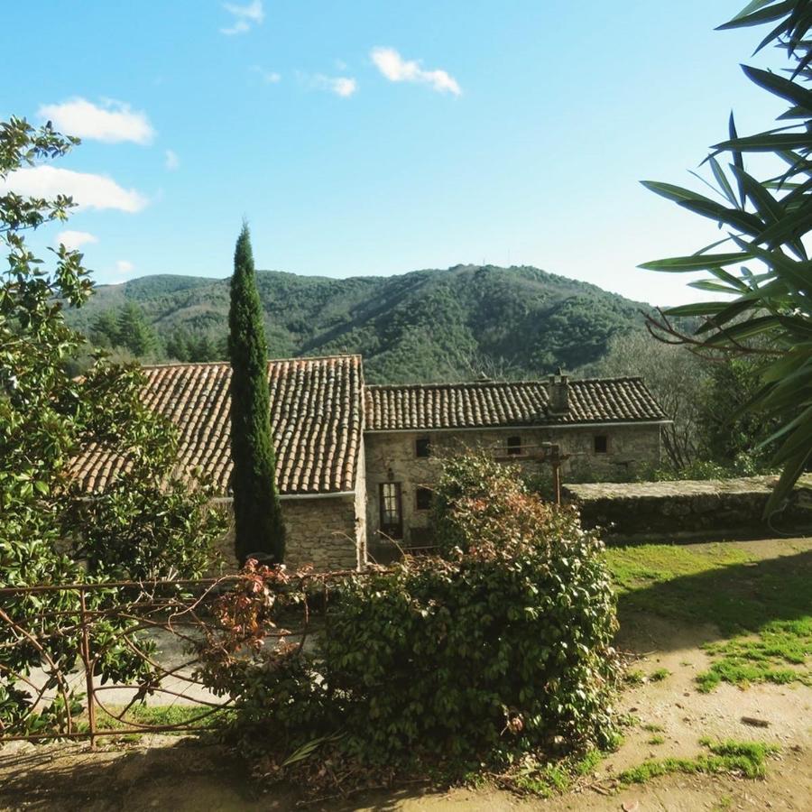Gite Pommier Au Chateau Des Pauses Villa Saint-Andre-de-Majencoules ภายนอก รูปภาพ
